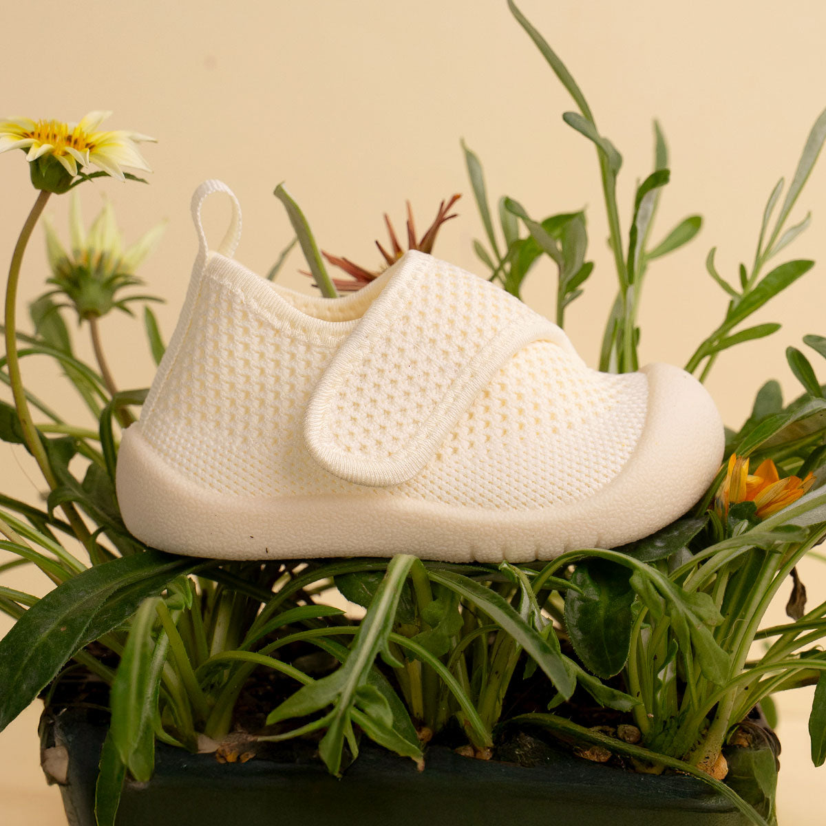 Duckies Velcro Marshmallow