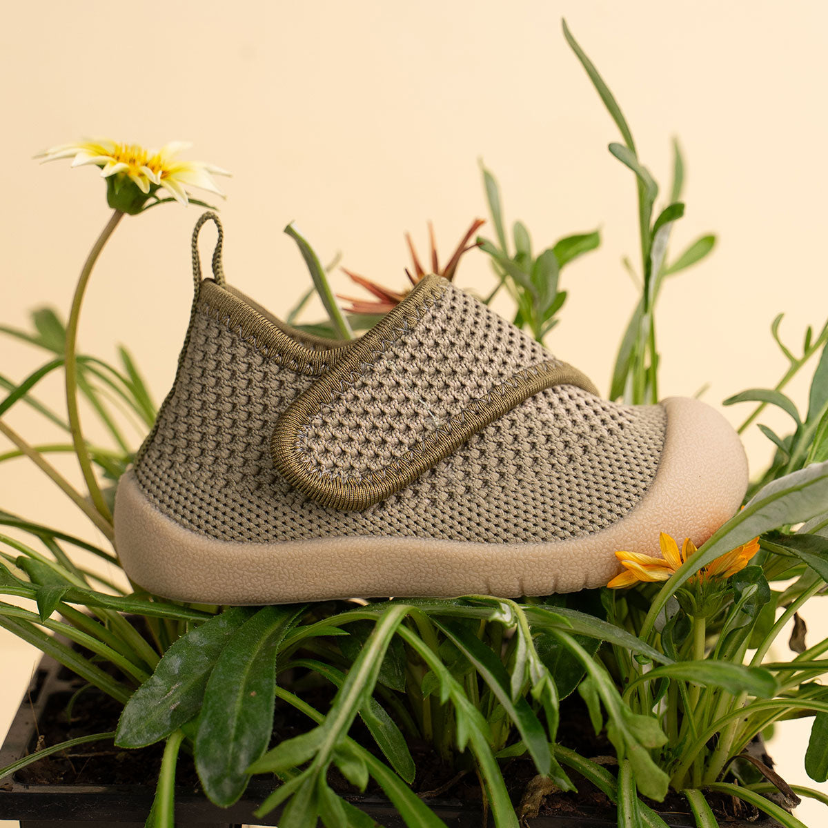 Duckies Velcro Olive