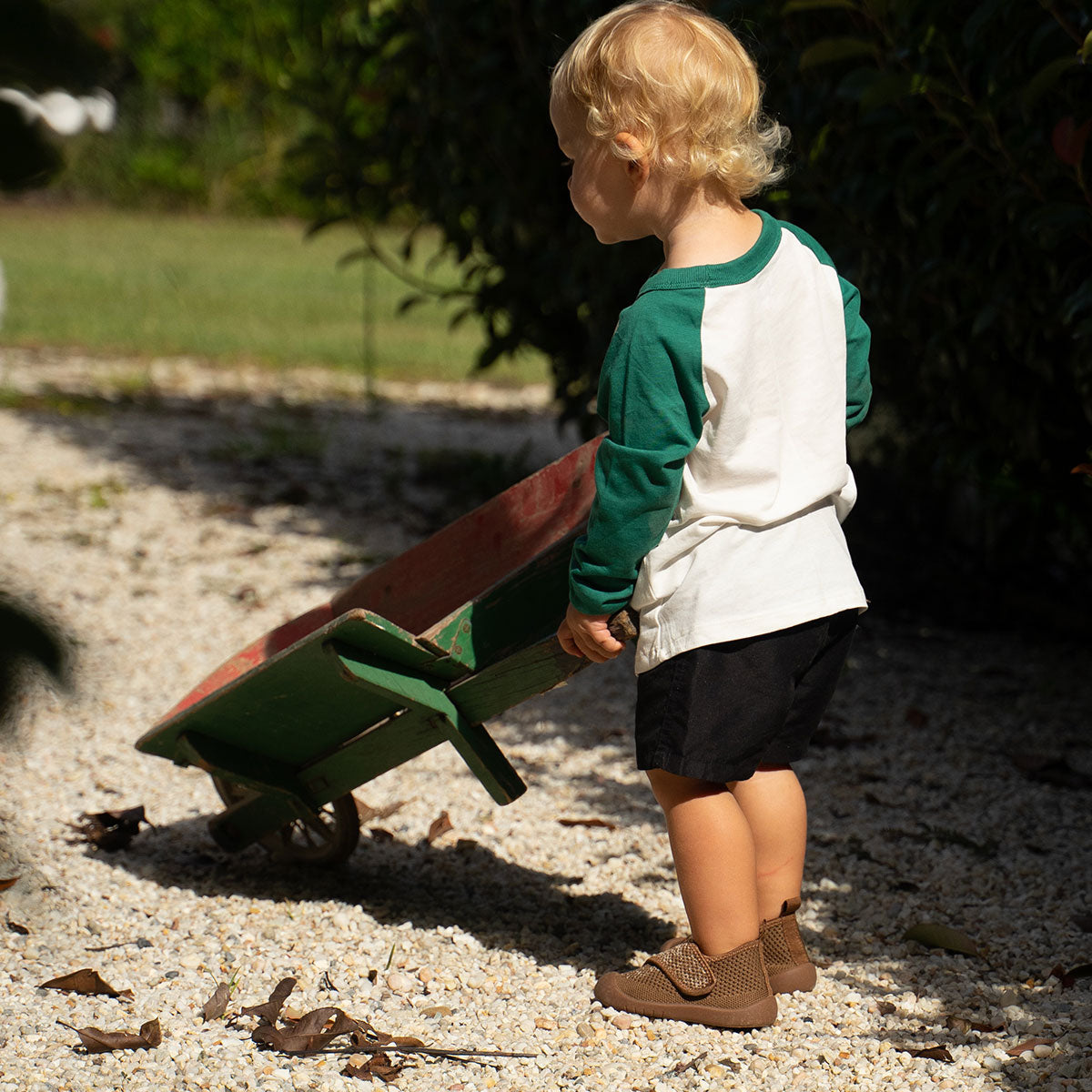 Duckies Velcro Walnut